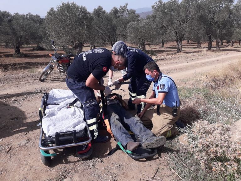 Zeytin ağacına çarpan traktörün sürücüsü yaralandı