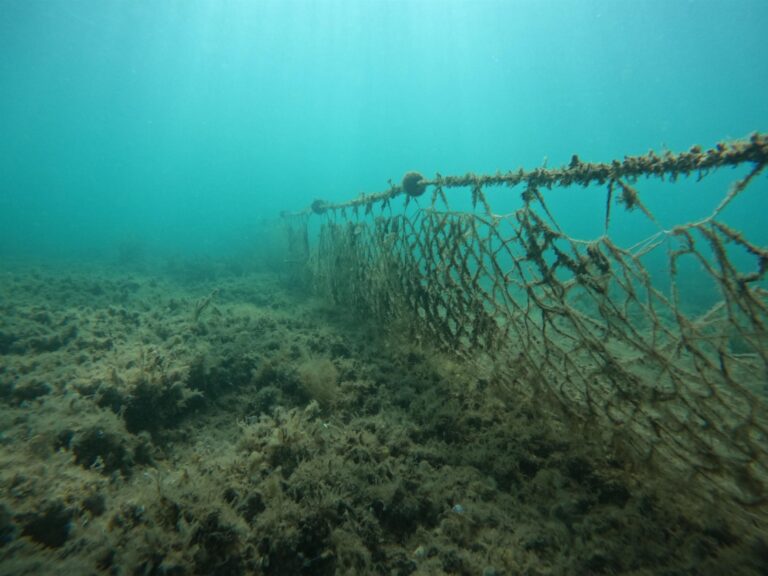 50 bin metrekare hayalet ağ denizlerden arındırıldı